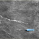 위드심의원 이미지