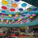 수원-0243 | [순남시래기 메세나폴리스점] 반찬셀프바와 고소한 시래기국밥