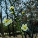 중동공원 이미지