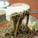 도촌막국수식당