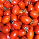 산지농장 이미지