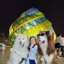 비엔팜 이미지