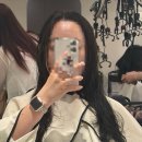 세정미용실 - 서구 비산동 | 안양 범계 미용실 유라움 범계점 여자머리 커트 가격 및 세정 디자이너 레이어드컷 후기