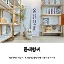 아토맘수제간식카페 | [강원 고성] 강아지 수제간식 동해형씨 오프라인 카페(애견동반 OK)
