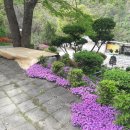 전원목장 이미지