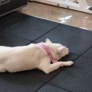 탐스게스트하우스 | 첫 시험을 치다 (250512)