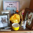 더반하우스