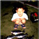 김뽕똘 Daum카페
