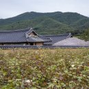 하회1리경로당 이미지