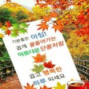 하뚜