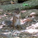 청기와한정식 이미지