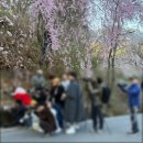거창군남상면임불보건진료소 네이버블로그