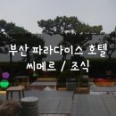 부산 해운대 파라다이스 호텔: 씨메르 온천 , 조식 후기 (제네시스 프리빌리지 카드로 이용)