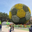 백제모텔 | 아름다운 튜울립축제, 백제호텔과 함께하는 완벽한 봄 나들이