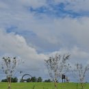 노을빛민박 이미지