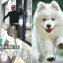 멈무