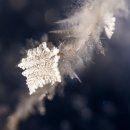 ❄️ 다이아몬드 더스트 촬영 팁 이미지