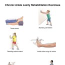 Chronic Ankle Laxity Rehabilitation Exercises 이미지