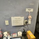 프로젝트와이 이미지