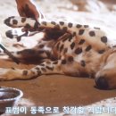 묘책 이미지