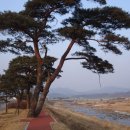 윗밤숲 이미지