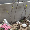 더 지음 디자인