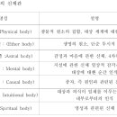 현대 문명에서 신체관 - 신지학의 신체관 이미지