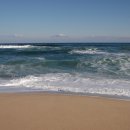 동해바다 이미지