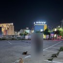 피엠맥주광장