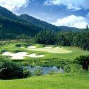 파인비치 이미지