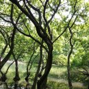 구불5길(물빛길) 이미지