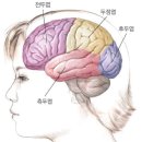 기복이네 이미지