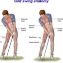 운동할래피트니스 이미지