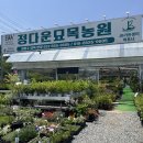 평택꽃집, 남사화훼단지 &#34;정다운묘목농원&#34; 후기 / 창업자, 식집사들 집쭝