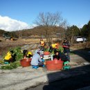 정애시니어빌 이미지