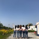 아산글램핑캠핑장 이미지