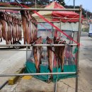 거진11리 마을 이미지