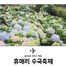 와룡사슴농장 | 제주 휴애리 자연생활공원 수국축제 입장료