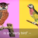 English in a minute / Night Owl 이미지