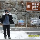 광양사슴농장 이미지