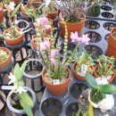 석곡농장 이미지