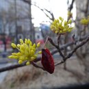 갤러리순 이미지