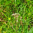 송정환경 이미지