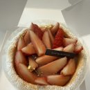 피어나의원 | 26년 2월 일상 : 마음의 장소