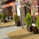 동초식당 이미지