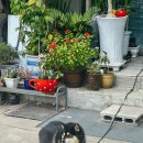 아이섬 키즈 풀 글램핑 이미지