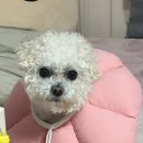 앤유PC 경성대점 이미지