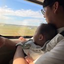 아쿠아플라넷 여수 | 6개월 아기 기차타고 여수 아쿠아플라넷 관람 후기