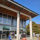 국립수목원 산림박물관 | 서울 근교 실내 아이와 가볼만한곳 국립수목원 산림박물관