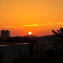 노을체육관 이미지